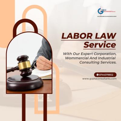 Labour Law Compliance Audit Services - Delhi Professional Services