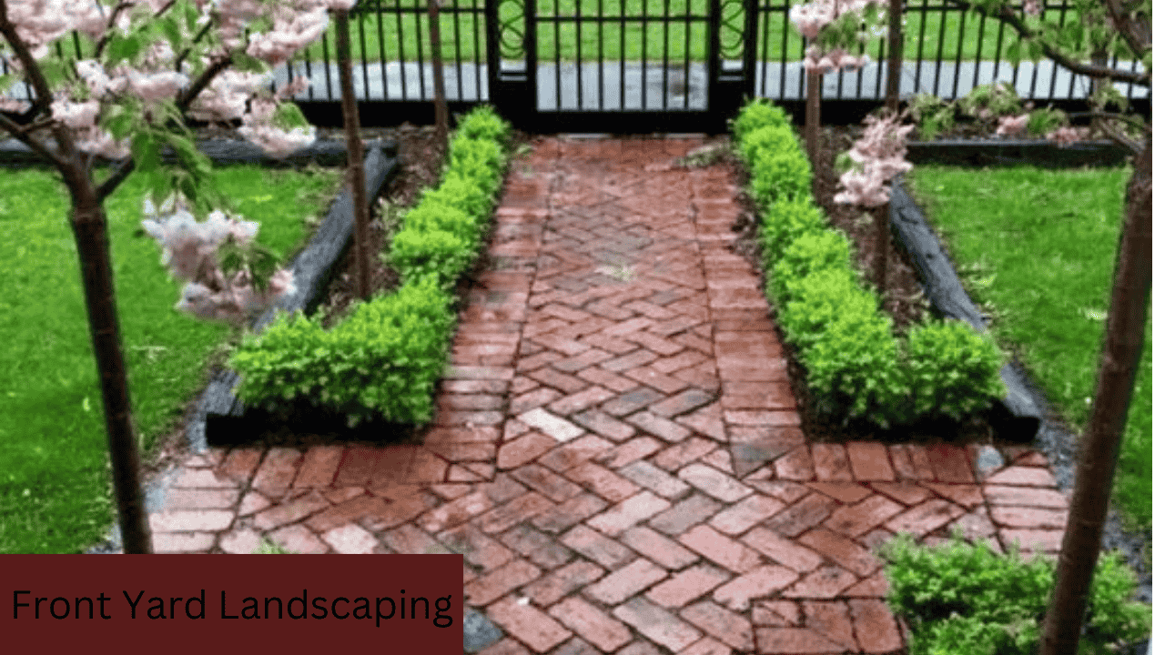 Affordable and Simple Front Yard Landscaping Ideas to Transform Your Outdoor Space - Delhi Furniture