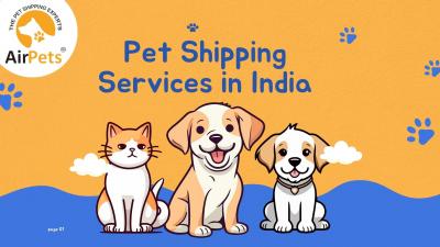 Pet Shipping Services in India