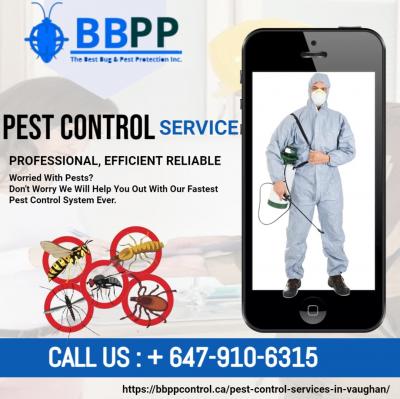 Pest Control Services in Vaughan