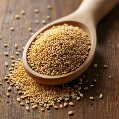 Trusted Natural Sesame Seed Supplier | Natural Minerals