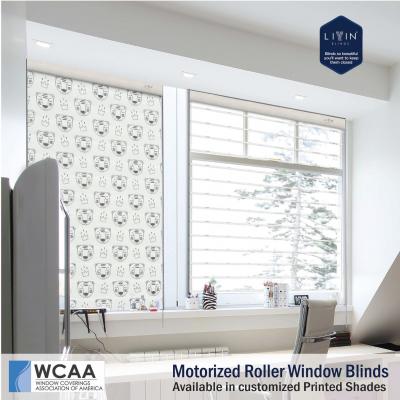 Buy the Best Roller Blinds in India