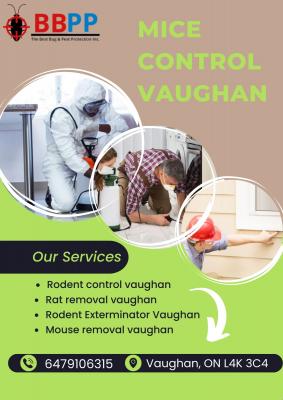 Mice Removal Service Vaughan – Get rid of your pests