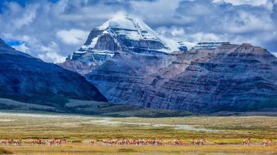 Kailash Tour - Lanzhou Other