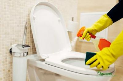 Expert Bathroom Cleaning Services in Parramatta - Brisbane Other