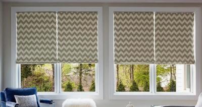 Buy Roller Shades Online