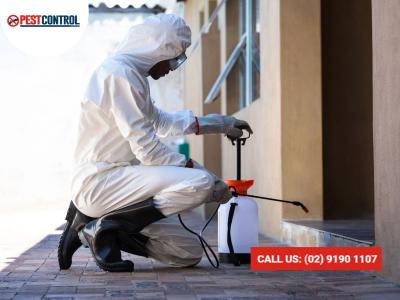 Bed Bug Exterminator Sydney: Fast & Reliable Removal