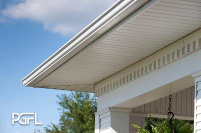 Protect Your Home with Perfect Gutters FL in Orlando!