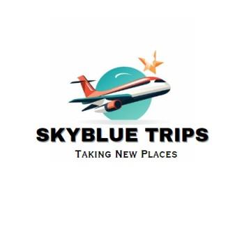 Upgrade Your SAS Travel Class - New York Other