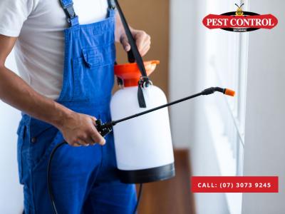 Pest Control Browns Plains: Fast, Affordable Pest Solutions