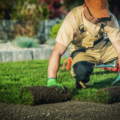 Does your garden need a landscaper? 