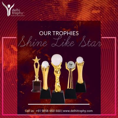 Customizable India Trophy Solutions