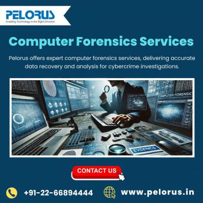 Computer Forensics Services | cyber forensics services