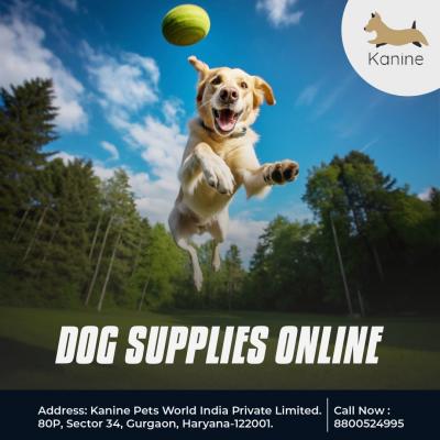 Buy Dog Supplies Online | Dog Supplies Online