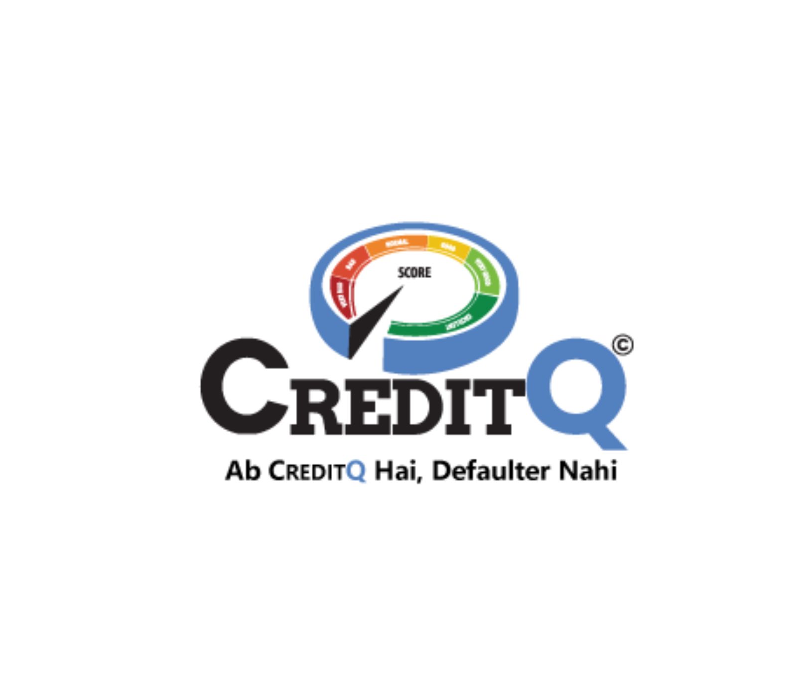 Business Credit Report - Jaipur Other