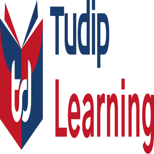 Empower Your Career with Tudip Learning’s Fundamentals of Data Analytics Services