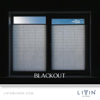 Create the Perfect Atmosphere with Blackout Zebra Blinds