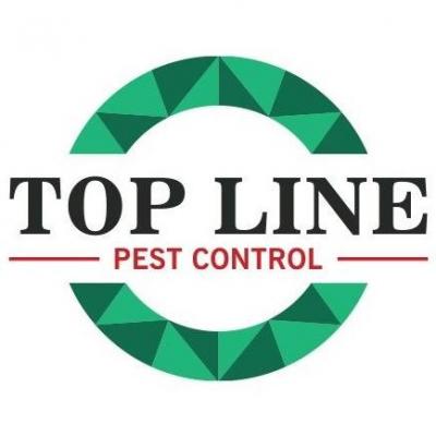 Effective Pest Control In Vancouver - Other Other