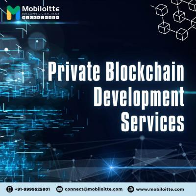 Private Blockchain Development Services- Mobiloitte - Delhi Computer