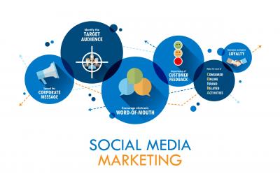 Elevate Your Brand with Expert Social Media Marketing