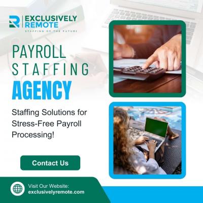 Payroll Staffing Agency	 - Other Other