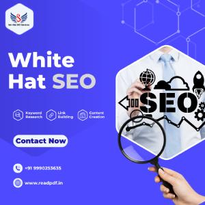 White Hat SEO Services - Delhi Other