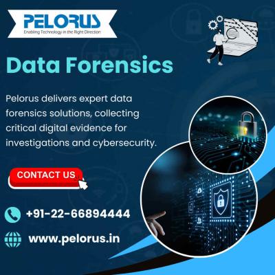 data forensics | Computer Forensics