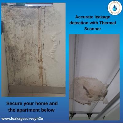 Accurate Leakage Detection with Thermal Scanner - Mumbai Other