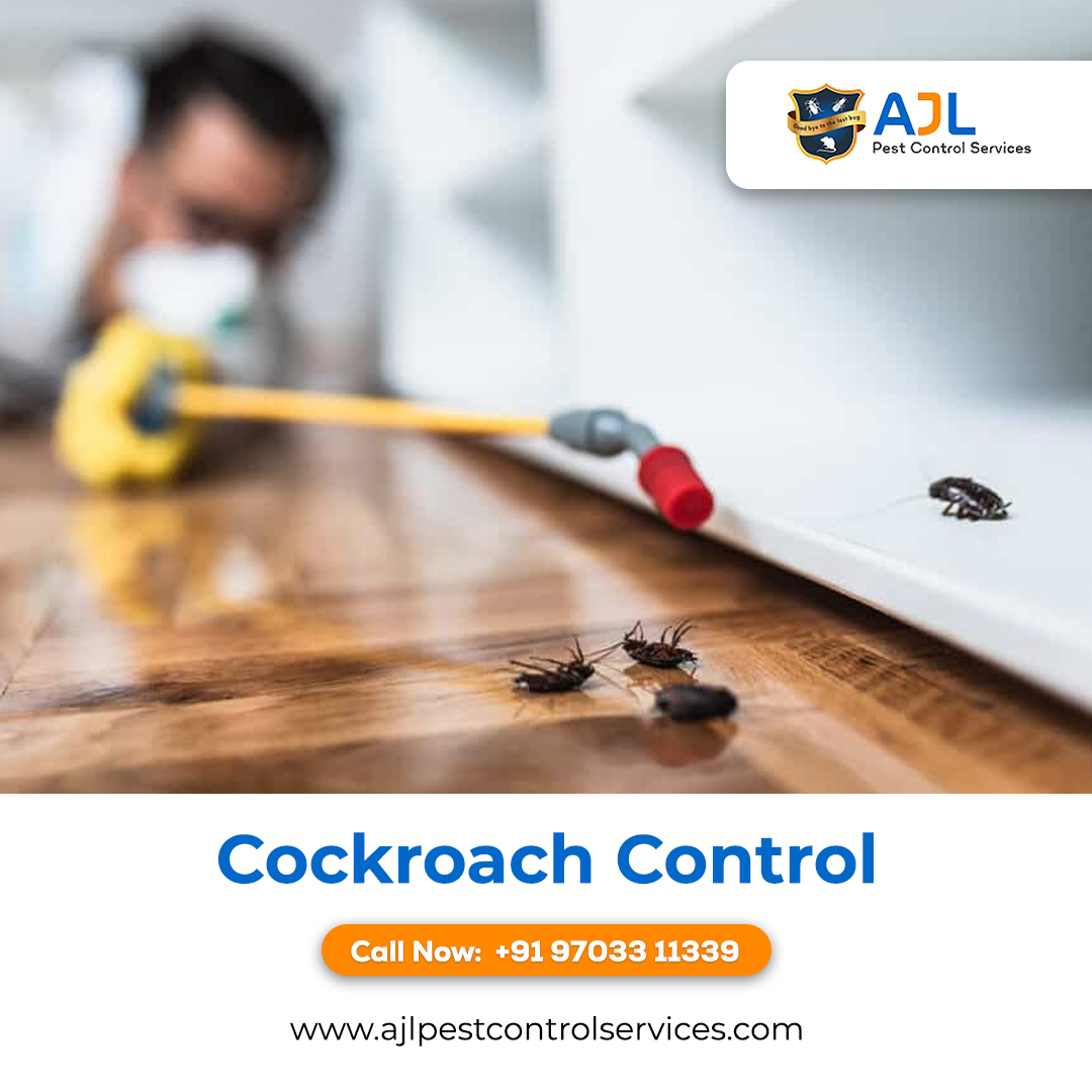 Cockroach Pest Control Hyderabad - Hyderabad Other