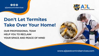 Termite control services in Hyderabad