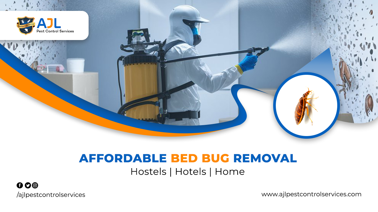 Bed Bug Pest Control Services