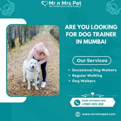 Best Dog Trainer in Mumbai at Affordable Price