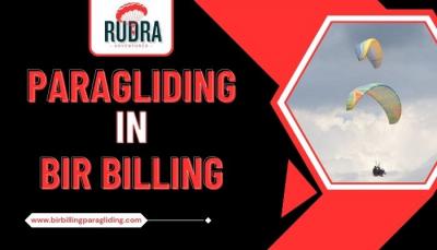 Paragliding in Bir Billing - Chandigarh Other