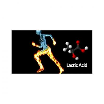 Workout Lactic Acid - Other Other