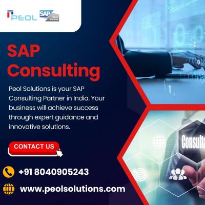 SAP Consulting in India - Bangalore Other