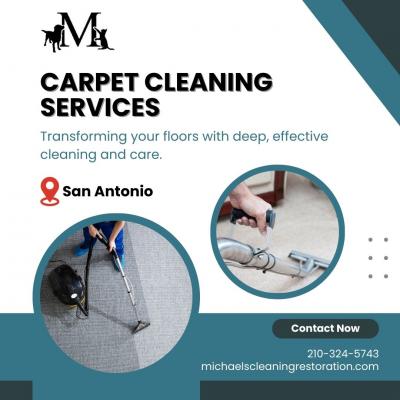 Carpet Cleaning Services in San Antonio - Other Other