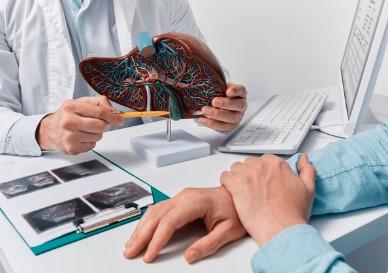 Liver Function Test Packages in Vadodara