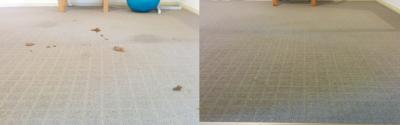 Professional Carpet Cleaning In Adelaide - Adelaide Other