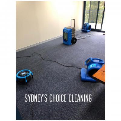 Professional Carpet Cleaning Services in Sydney - Sydney Other