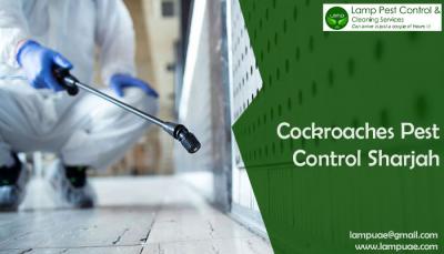 Cockroaches pest control in sharjah - Dubai Other