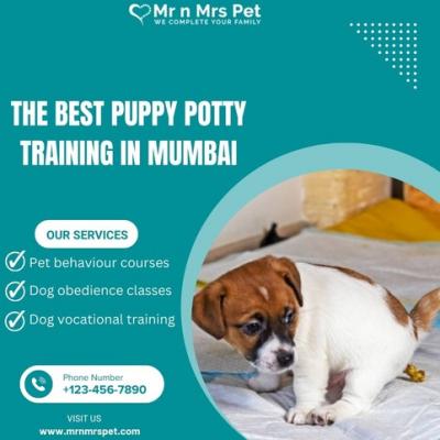 The Best  Puppy Potty Training in Mumbai