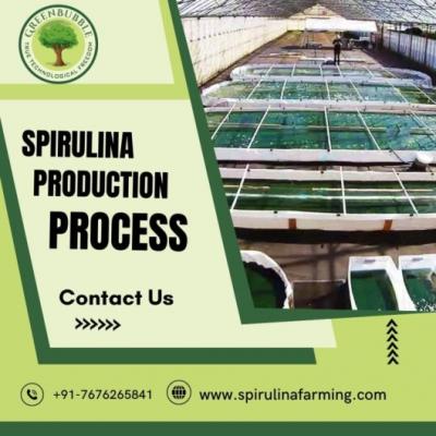 Spirulina Production Process | Step-by-Step Spirulina Cultivation