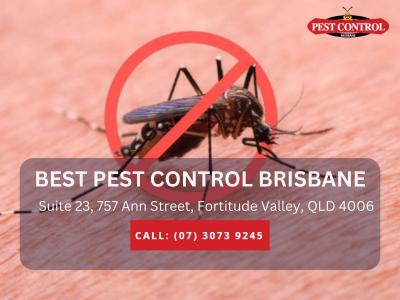 Pest Control Services in Brendale - Brisbane Other