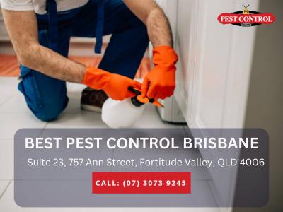 Pest Control Services in Petrie - Brisbane Other