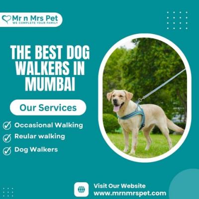 Are You Looking For Dog Walkers in Mumbai