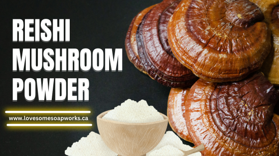 Premium Reishi Mushroom Powder