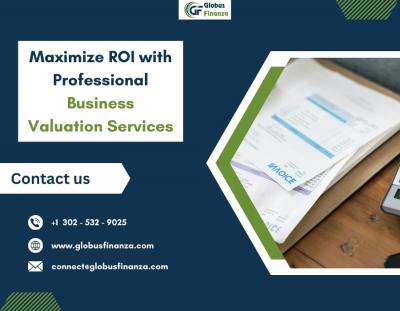 Maximize ROI with Professional Business Valuation Services