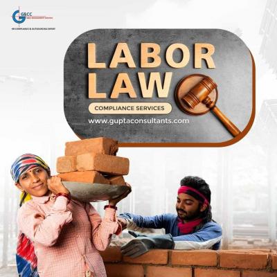 Labour Law Compliance Audit Services - Delhi Professional Services