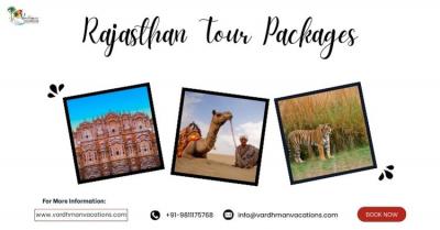 Rajasthan Tour Packages  - Delhi Other