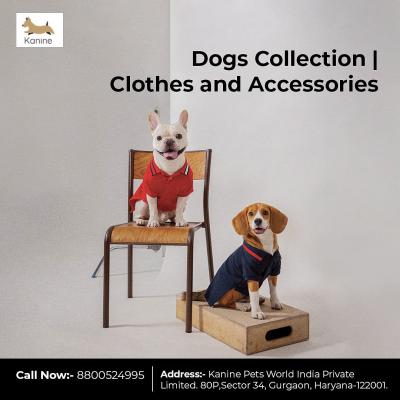 Buy Dogs Collection